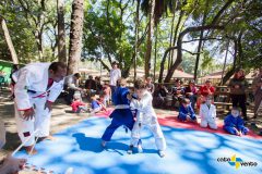 meninos judo